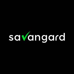 Usługi informatyczne dla biznesu - Systemy it - Savangard
